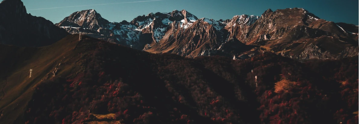 Equilibrio ecológico