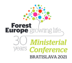 Logo conferencia ministerial