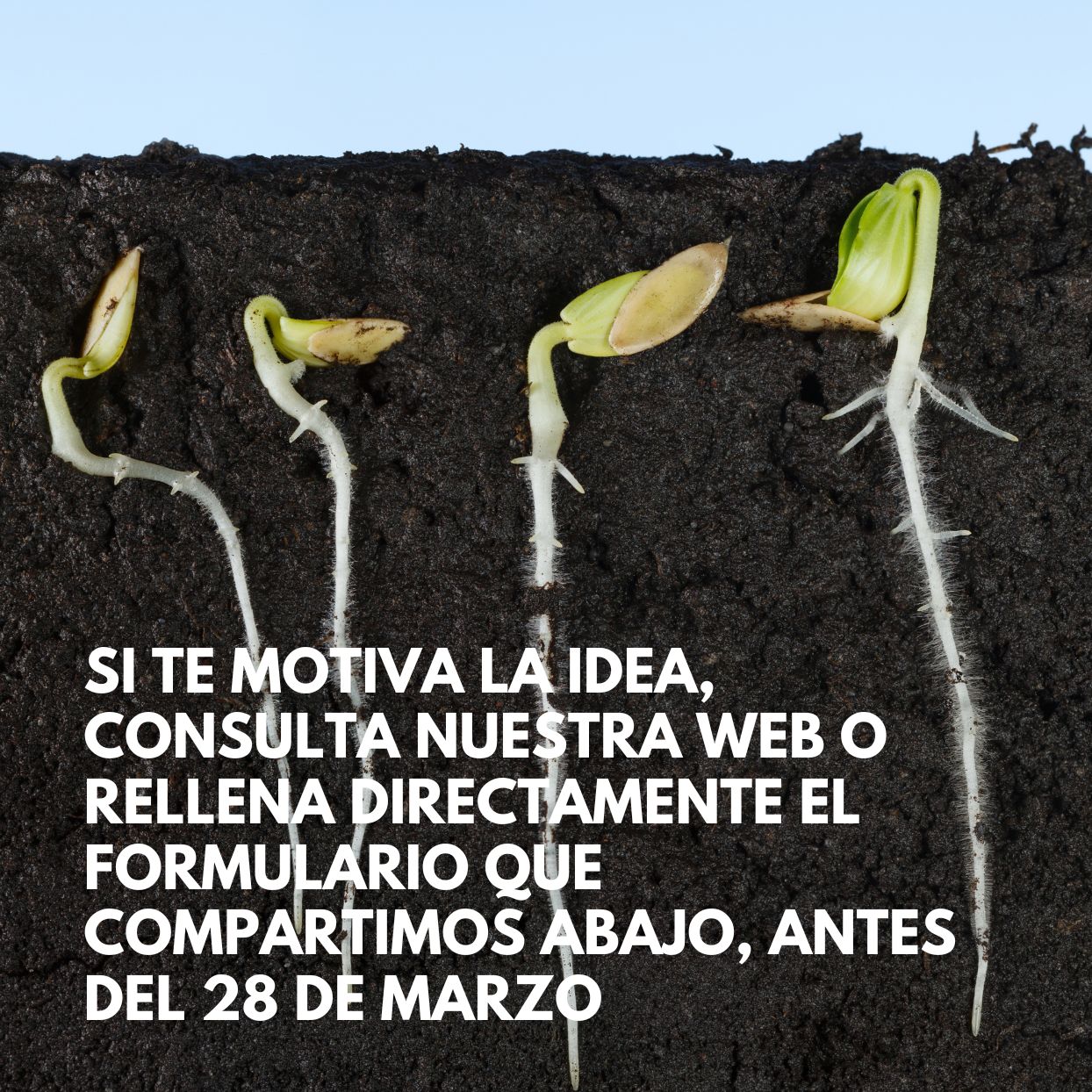 ¿Cómo es el proceso?