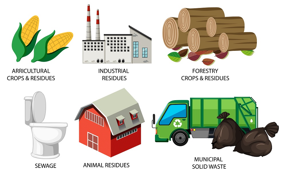 Imagen con distintas fuentes de biomasa