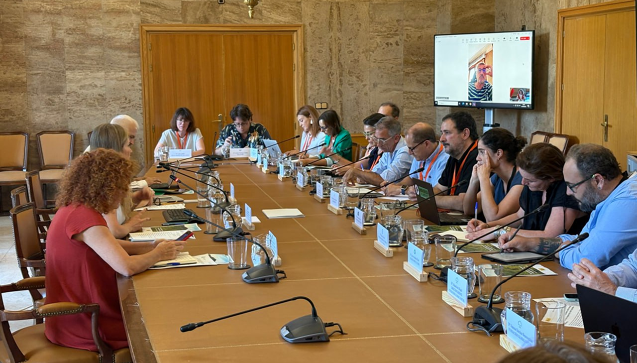 Reunión de la vicepresidenta Sara Aagesen con ong ambientales