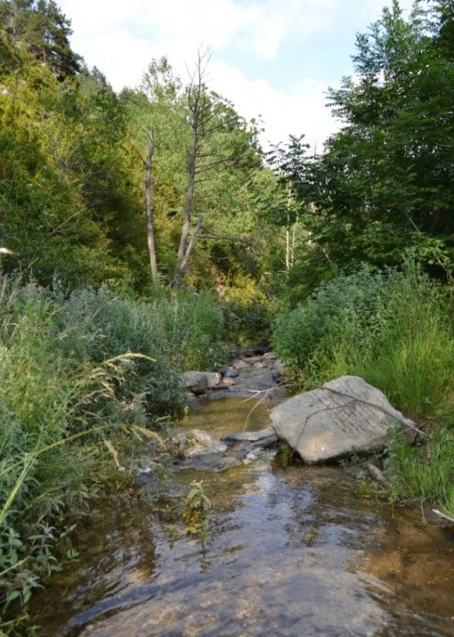 Reserva Natural Fluvial Cabecera del Rigard