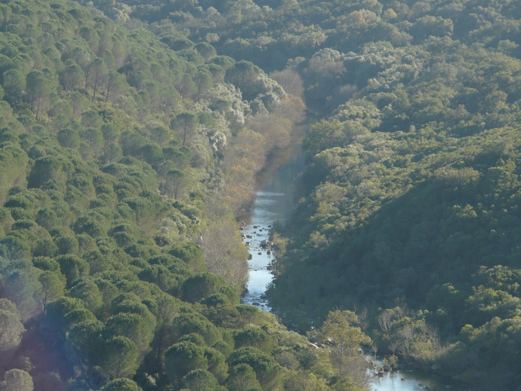 Reserva Natural Fluvial Alto Hozgarganta