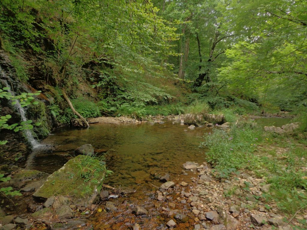 Vista general del cauce en un tramo en la reserva natural fluvial Arroyo de Viaña