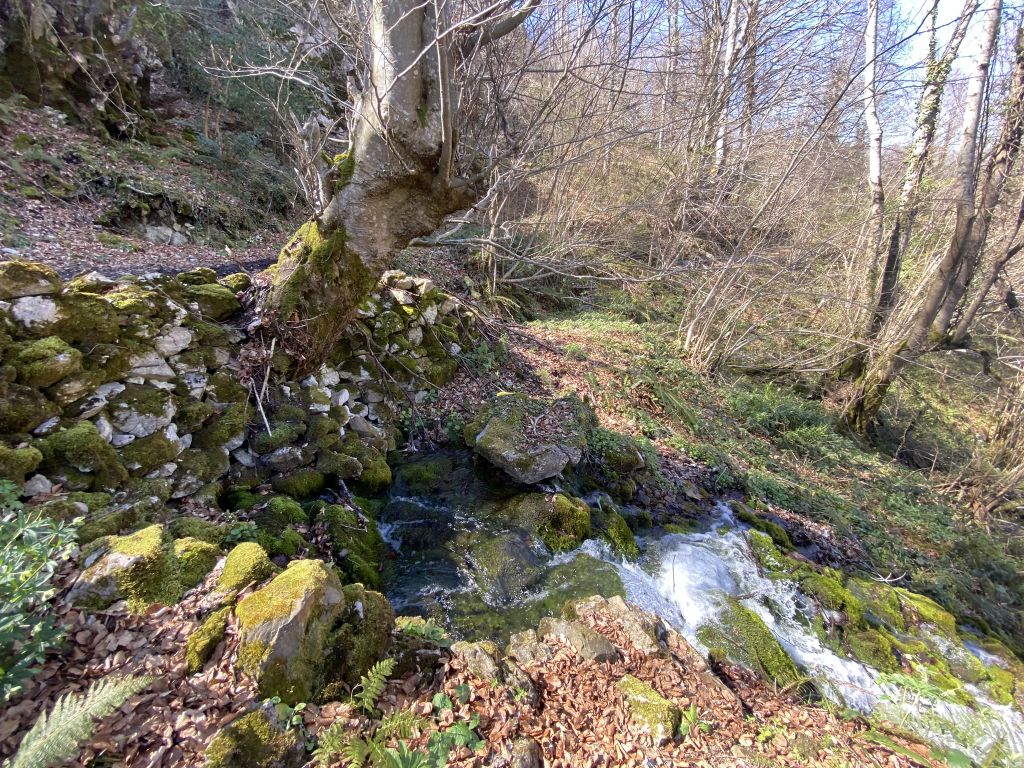 Fotografía del manantial permanente de la Fontona.  Autor: TTEC (abril 2022)