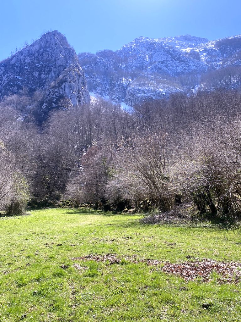 Surgencia intermitente de los Garrafes inactiva. Autor: TTEC (abril 2022)