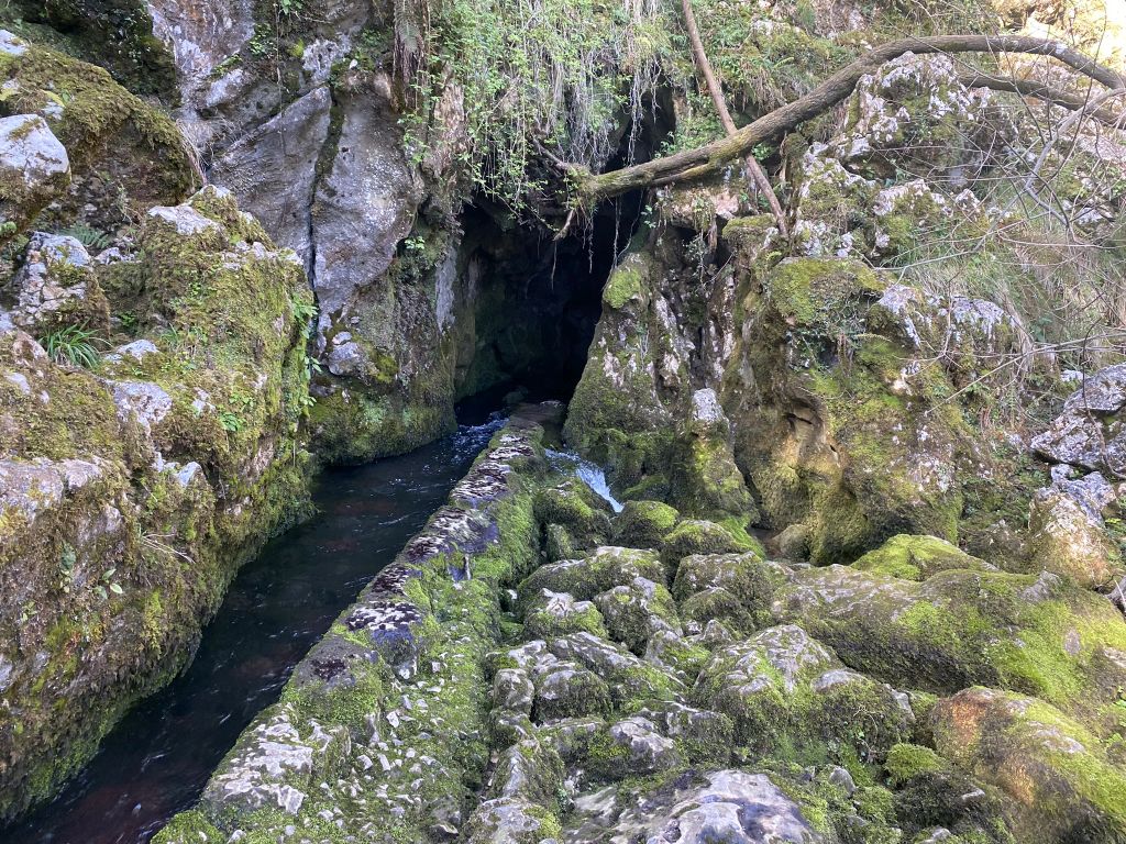 Manantial del río Cabra