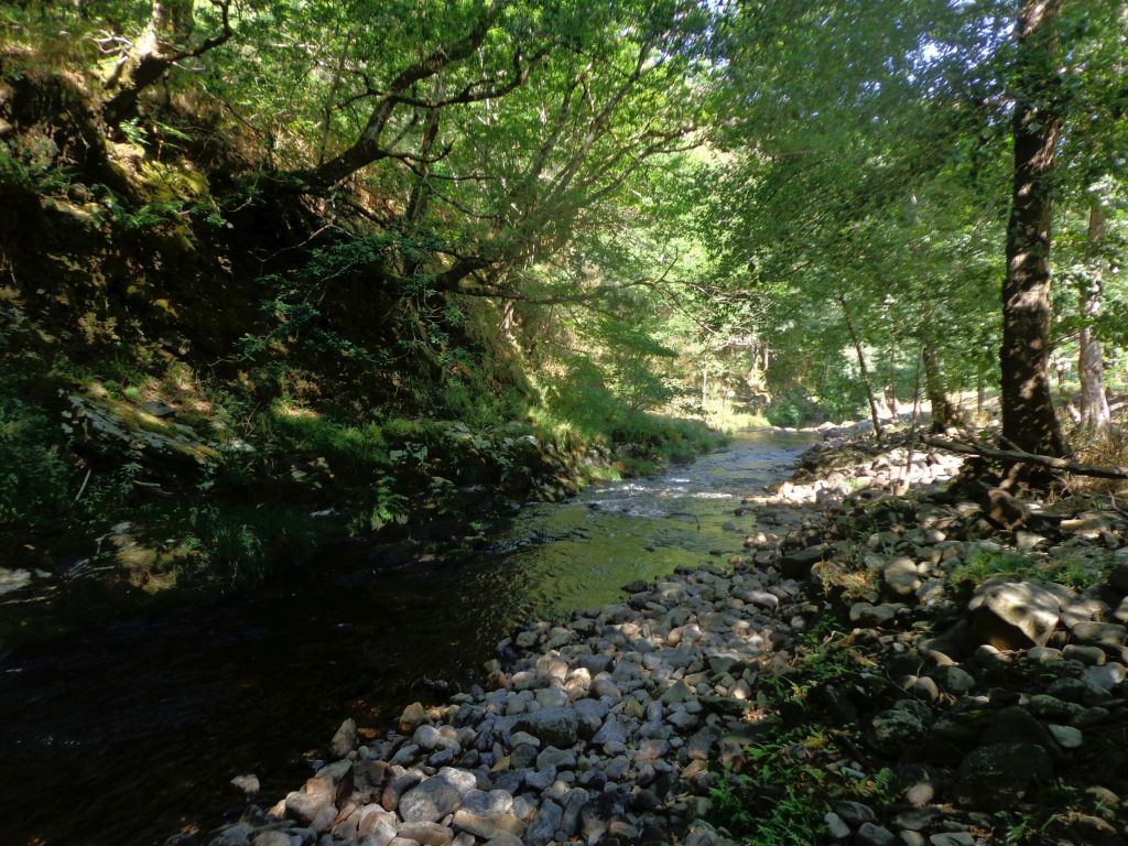 Cauce sombreado en la reserva natural fluvial Tramo medio del río Agüeira