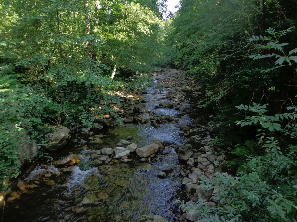 Vista general del cauce en un tramo de la reserva natural fluvial Río Argonza y río Queriendo