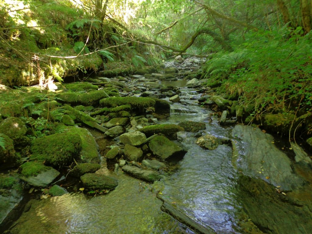 Secuencia de rápidos y remansos en la reserva natural fluvial Río Moia