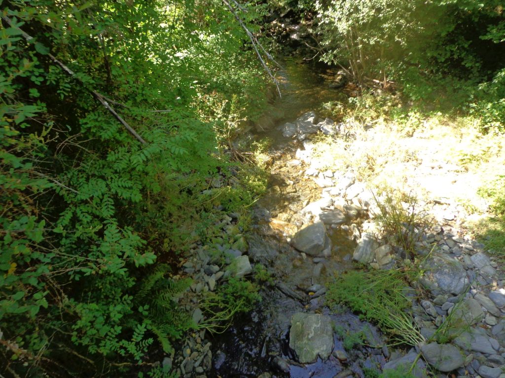 Vista del cauce de la reserva natural fluvial Río Moia