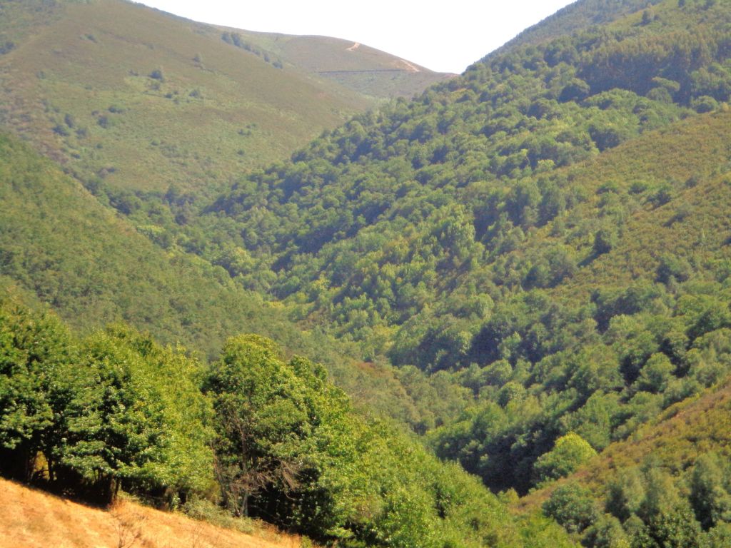 Vista general del valle de la reserva natural fluvial Río Moia