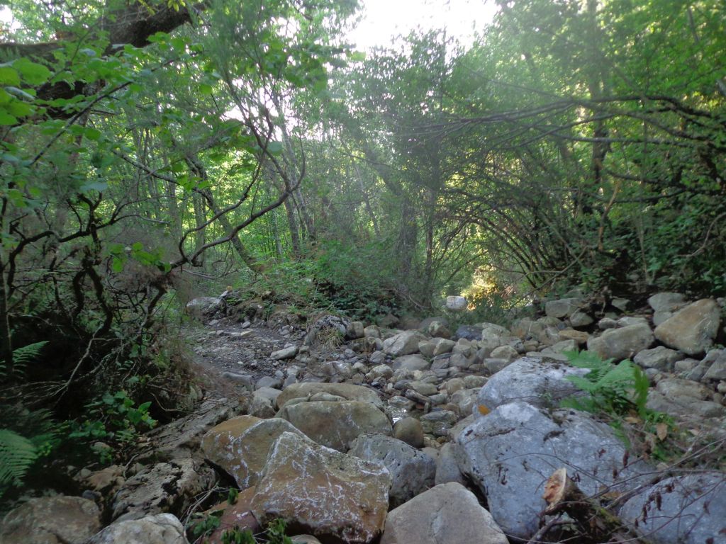 Cauce en estiaje en la reserva natural fluvial Río de Murias