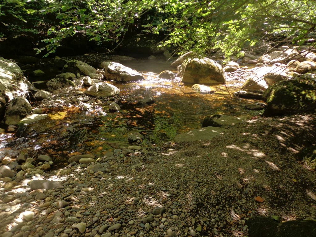 Cauce sombreado de un tramo del cauce de la reserva natural fluvial Nacimiento del río Nansa