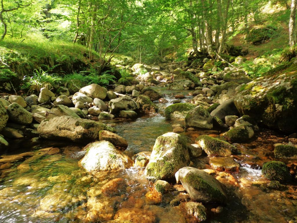 Vista general de un tramo del cauce de la reserva natural fluvial Nacimiento del río Nansa
