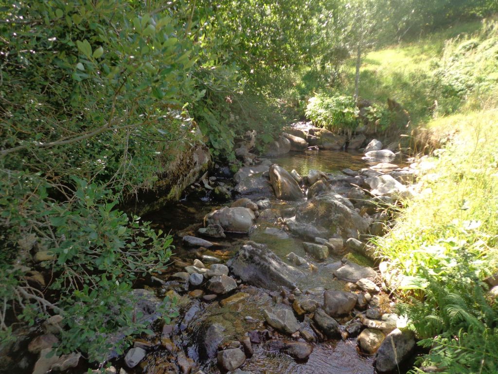 Cauce sombreado en la reserva natural fluvial Río de Ortigal
