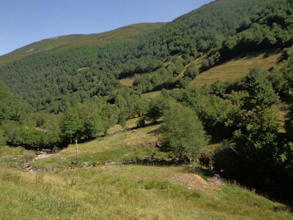 Prados en las márgenes de la reserva natural fluvial Río de Ortigal