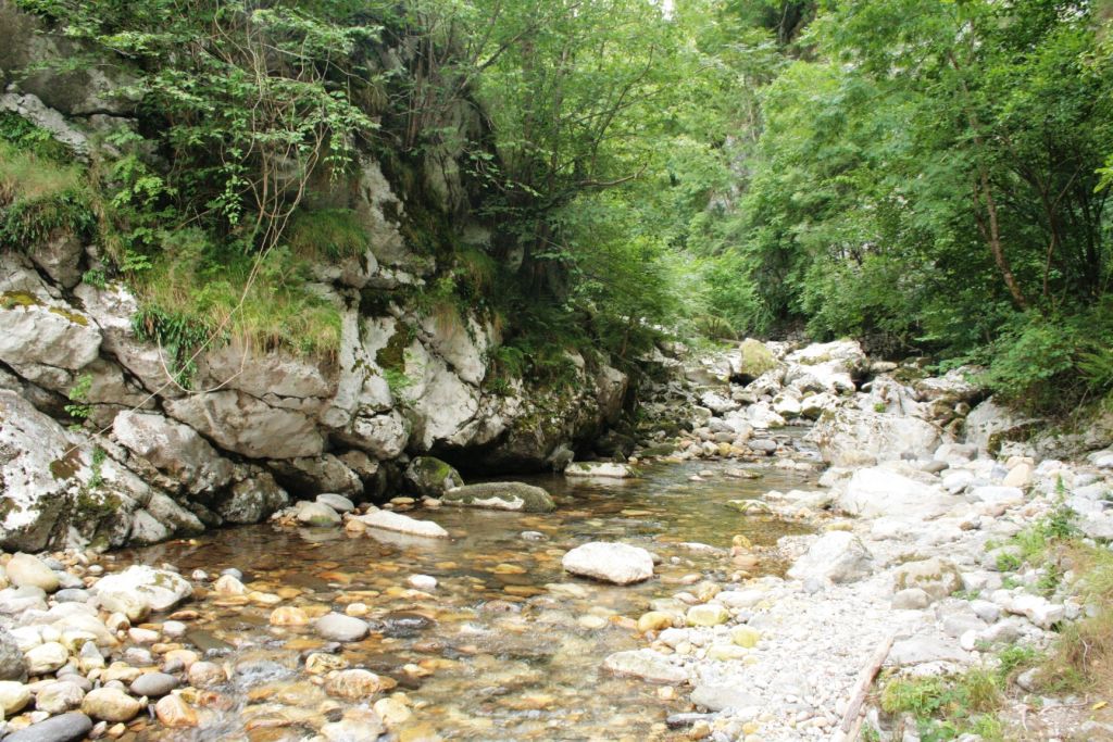 Tramo de cauce encajado en la reserva natural fluvial Cabecera del río Ponga