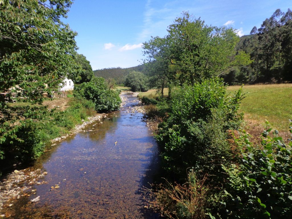 Praderas en la llanura de inundación de la reserva natural fluvial Río Porcia