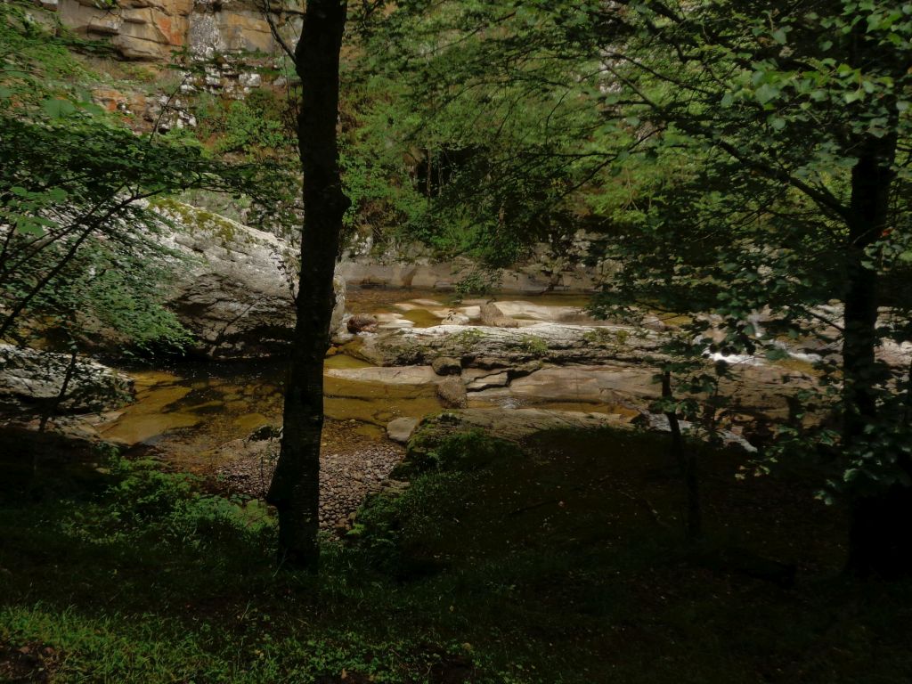 Cauce sobre roca de la reserva natural fluvial Cabecera del Saja