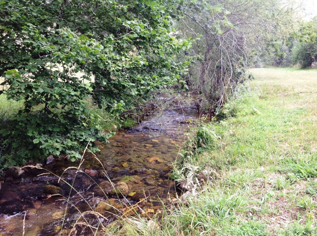 Praderas en la llanura de inundación de la reserva natural fluvial Cabecera del río Somiedo y río Saliencia