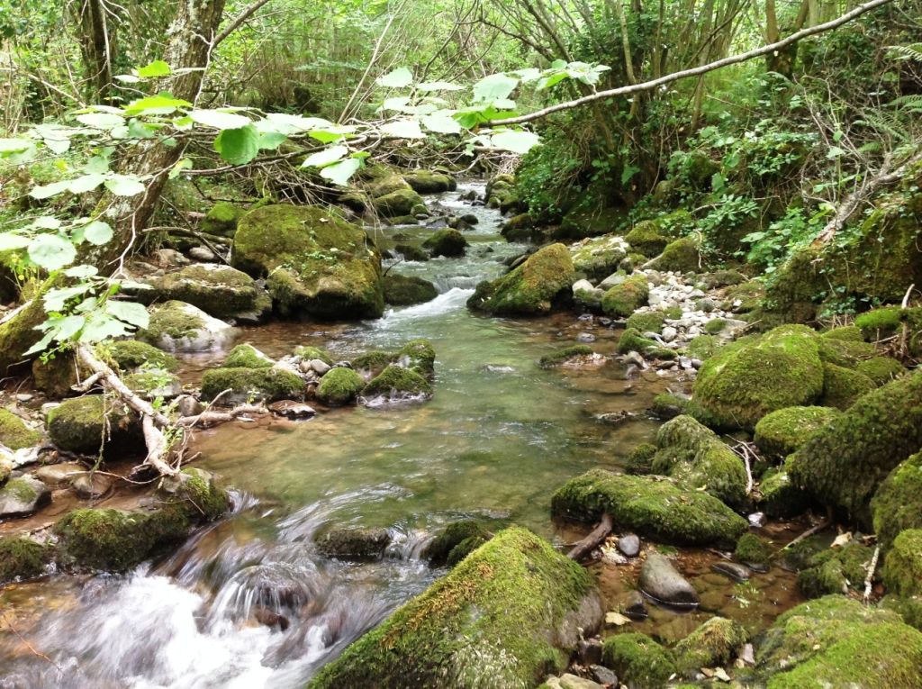 Saltos en la reserva natural fluvial Cabecera del río Somiedo y río Saliencia