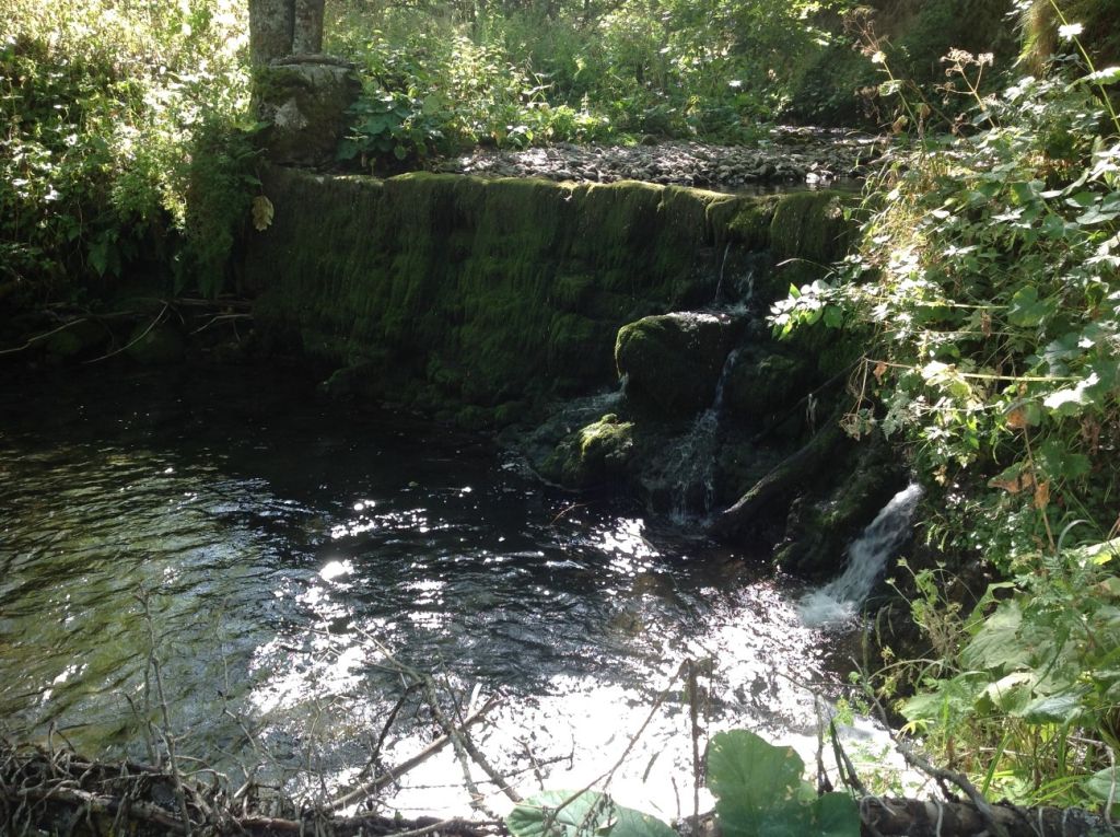 Azud en el cauce de la reserva natural fluvial Cabecera del río Somiedo y río Saliencia