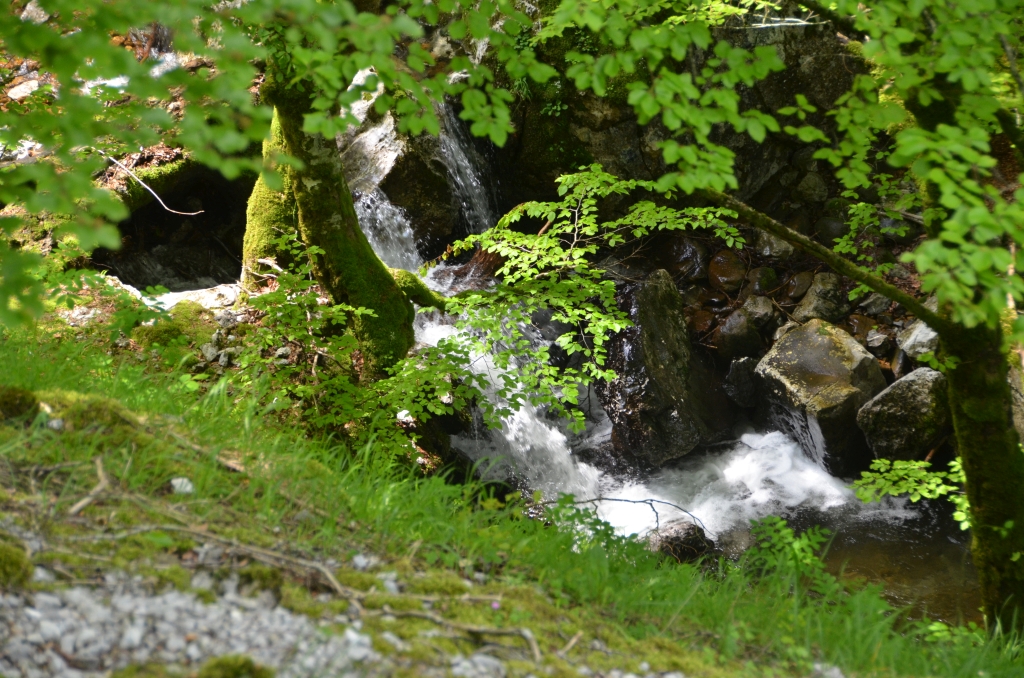 Reserva Natural Fluvial Arantzazu