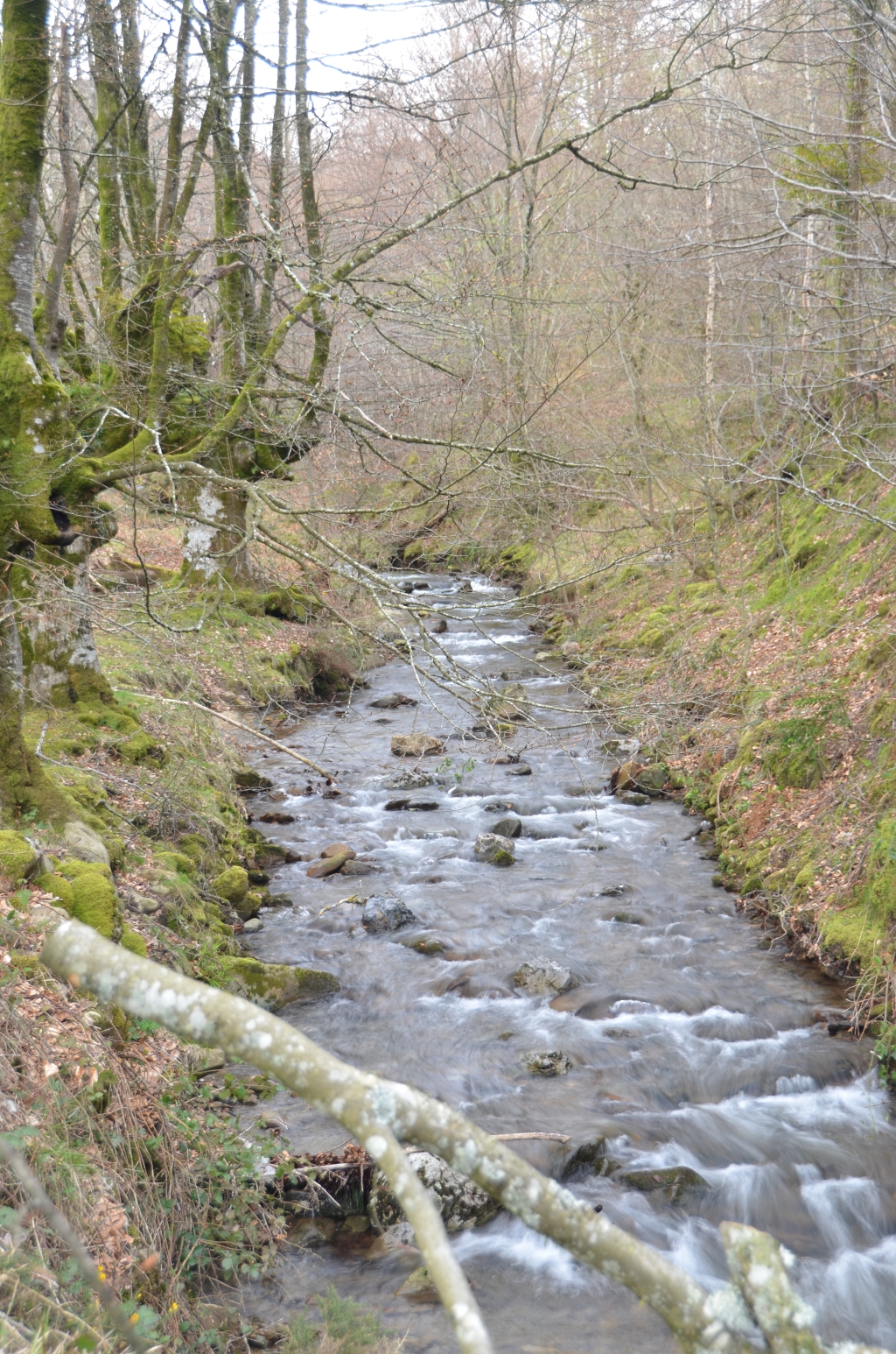Reserva Natural Fluvial Arantzazu