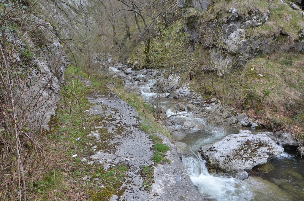Reserva Natural Fluvial Arantzazu