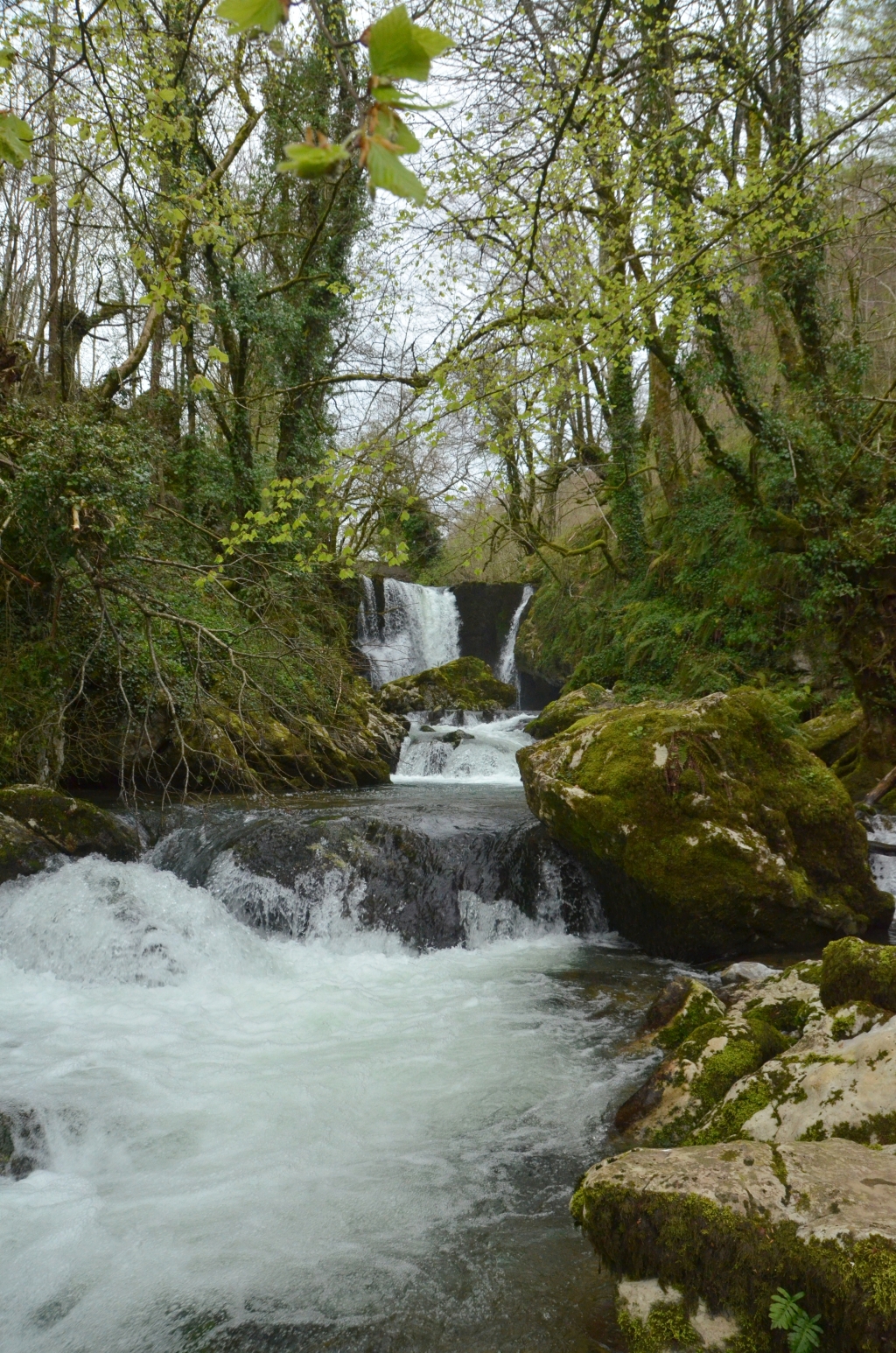 Reserva Natural Fluvial Arantzazu