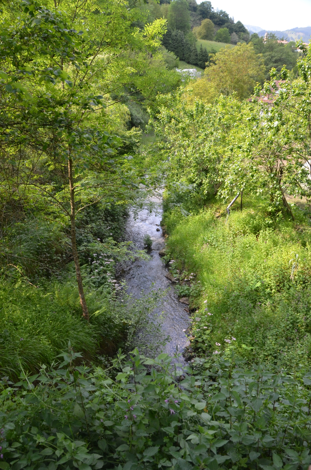 Reserva Natural Fluvial Deba