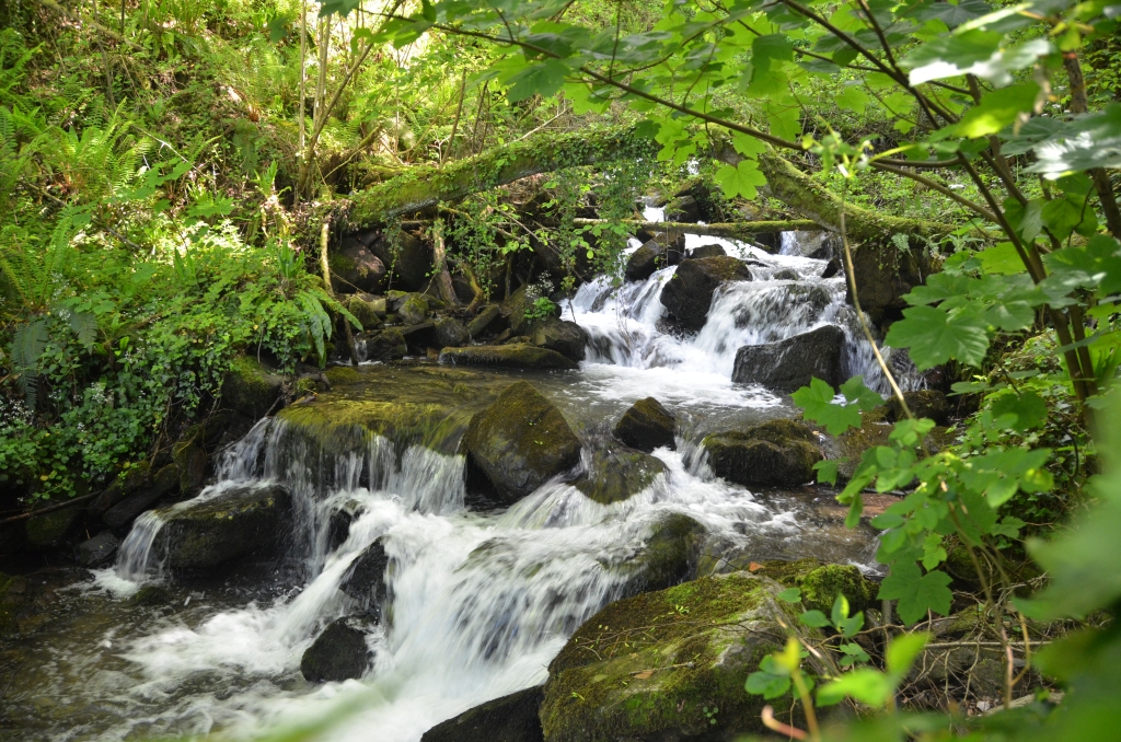 Reserva Natural Fluvial Deba