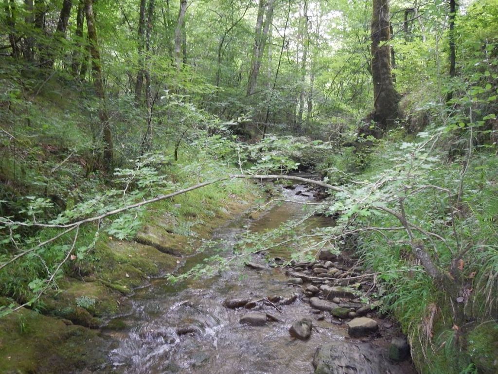 Secuencia rápido-remanso en la reserva natural fluvial Cabecera del río Altube