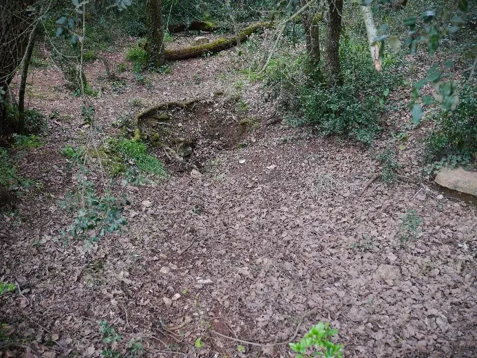 Surgencia de la Mussoga (Detrás de la iglesia de San Cristòfol d’Usell) 