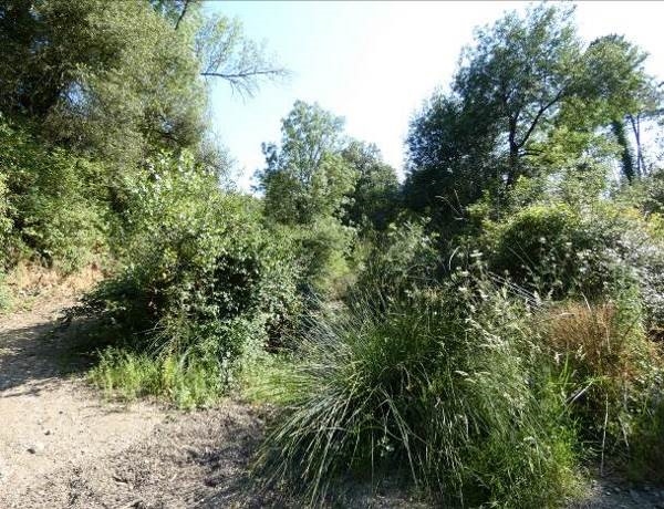 Reserva Natural Fluvial Cabecera del Daró