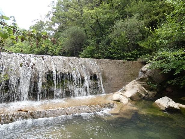 Reserva Natural Fluvial Cabecera del Gurn