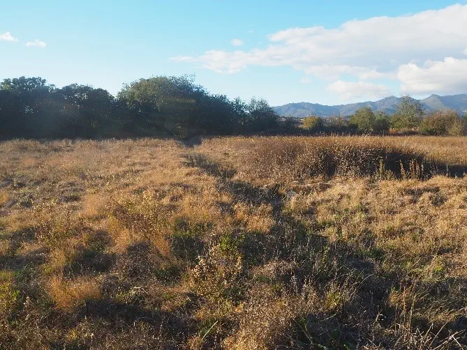 Drenaje de Estany Massot (U10) (marzo 2025)