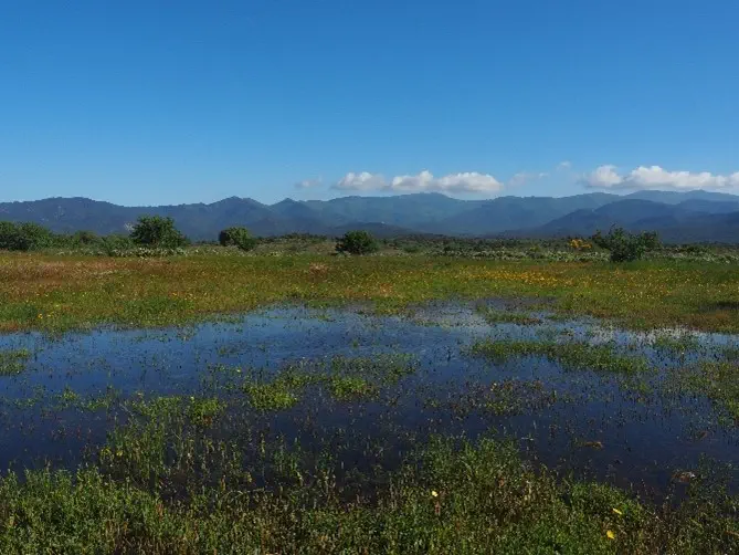 Estany de Llevant (Mayo 2025)