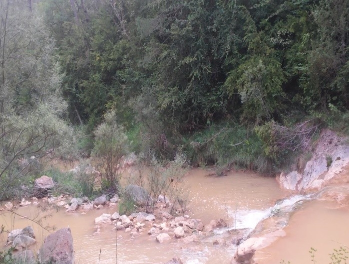 Reserva Natural Fluvial Rec de la Riba