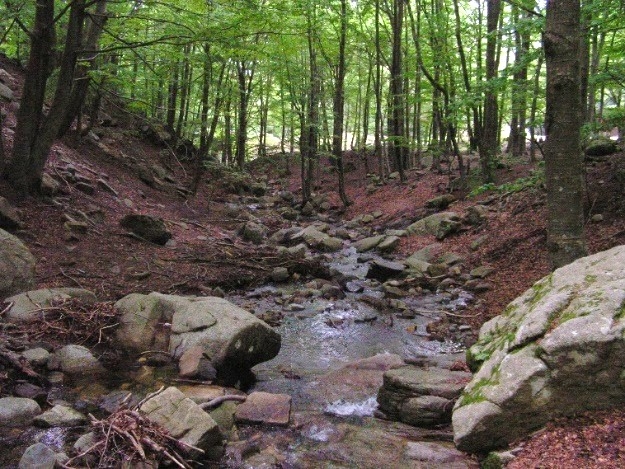 Reserva Natural Fluvial Riera de Santa Fe