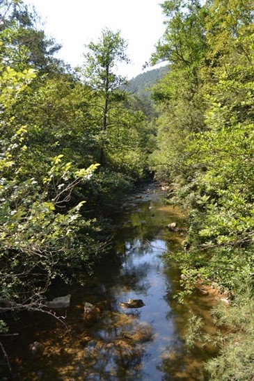 Reserva Natural Fluvial Riera de Vallfogona