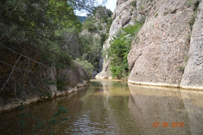 Reserva Natural Fluvial Tramo Alto del Aigua d'Ora