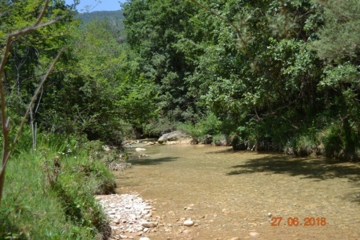 Reserva Natural Fluvial Tramo Alto del Aigua d'Ora
