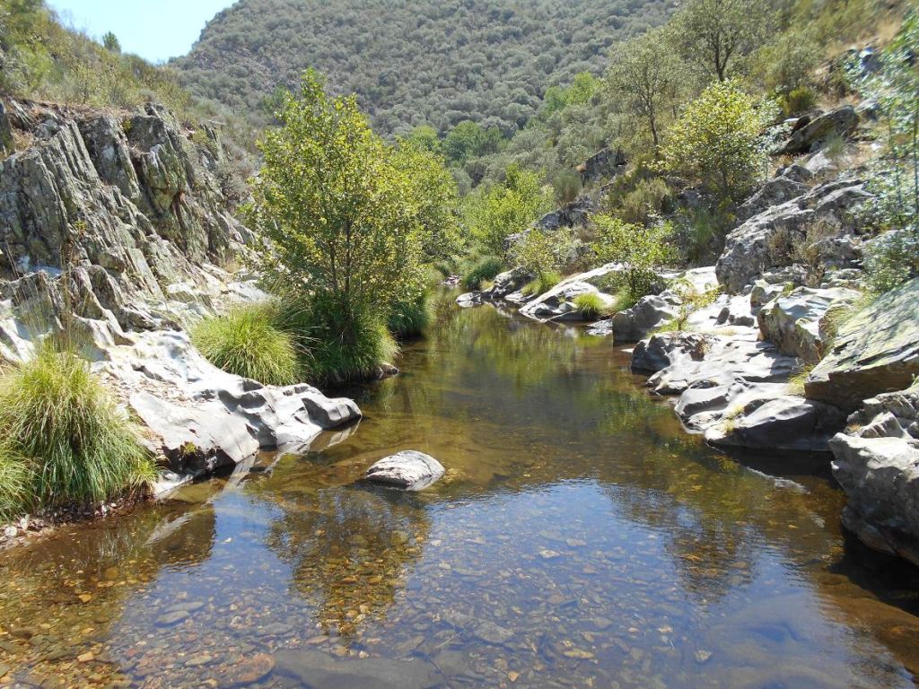 Roca madre aflorando en el cauce y riberas impidiendo el desarrollo de vegetación en la reserva natural fluvial Alto Agadón
