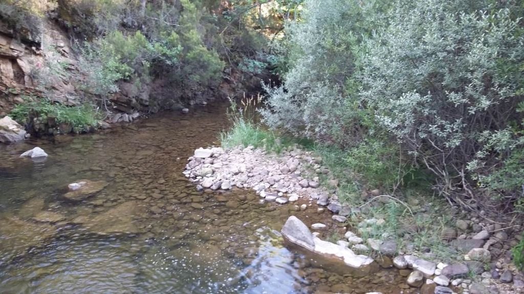 Pequeñas pozas entre formaciones rocosas en la reserva natural fluvial Alto Arlanza (hasta Quintanar de la Sierra ) y afluentes