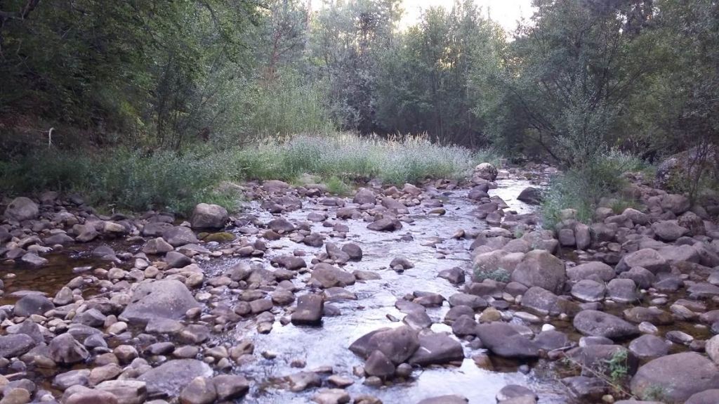 Cauce del río con gran cantidad de cantos y bloques en la reserva natural fluvial Alto Arlanza (hasta Quintanar de la Sierra ) y afluentes
