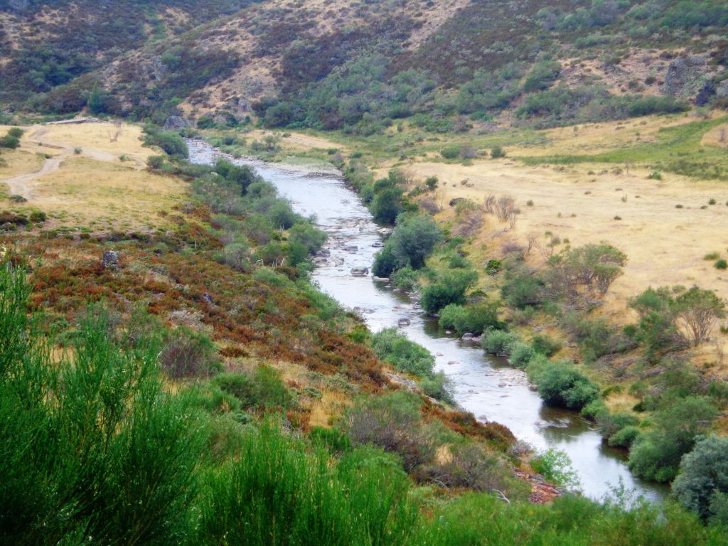 Vista aérea de un tramo de cabecera de la reserva natural fluvial Alto Carrión