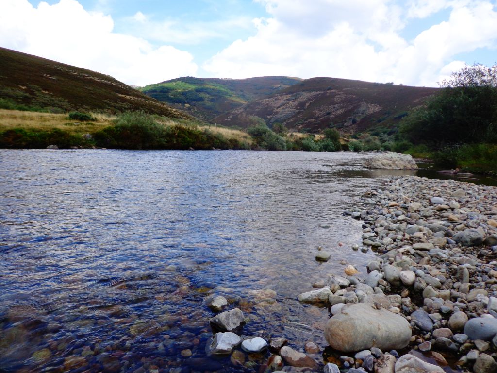 Imbricación en un lecho de cantos en la reserva natural fluvial Alto Carrión