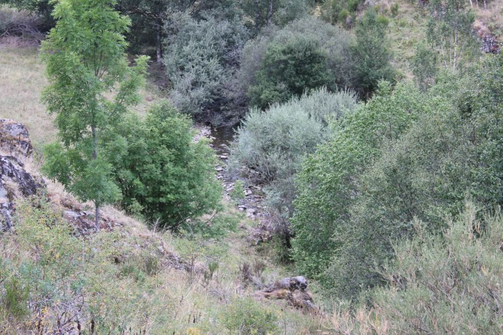 Vista general de un pequeño tramo de la reserva natural fluvial Alto Omaña